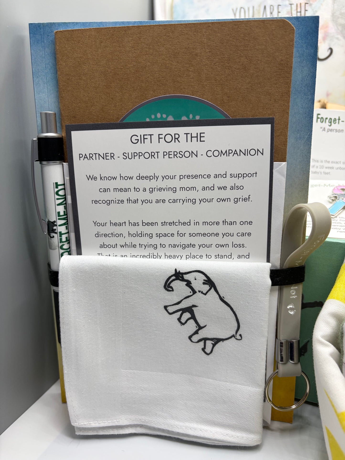 Sponsor a Large Forget-Me-Not Basket