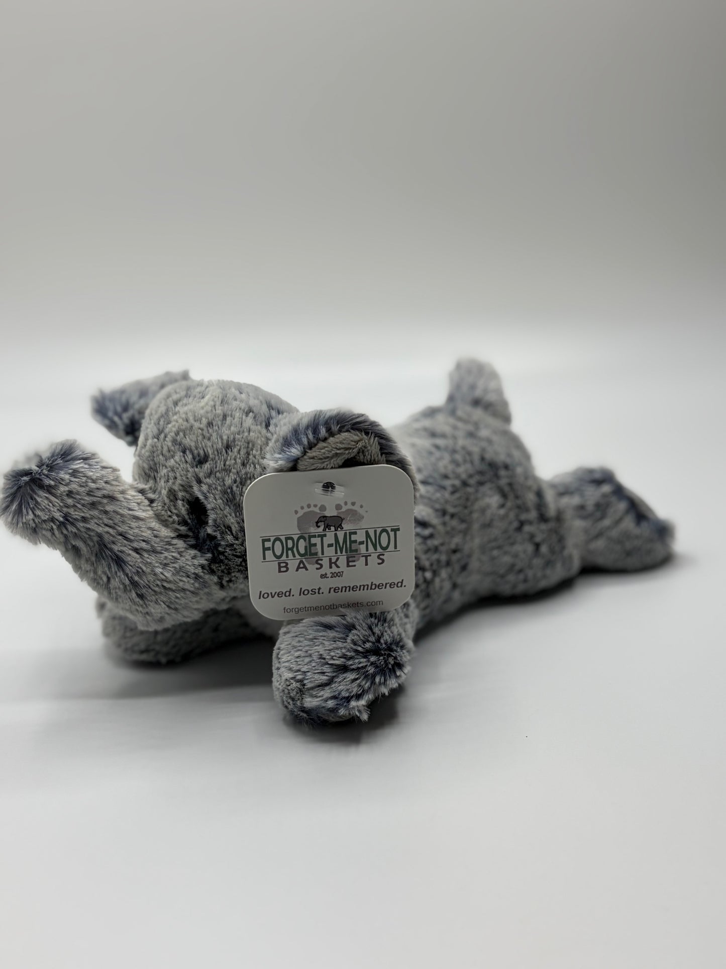 Small Elephant 'Peanut'