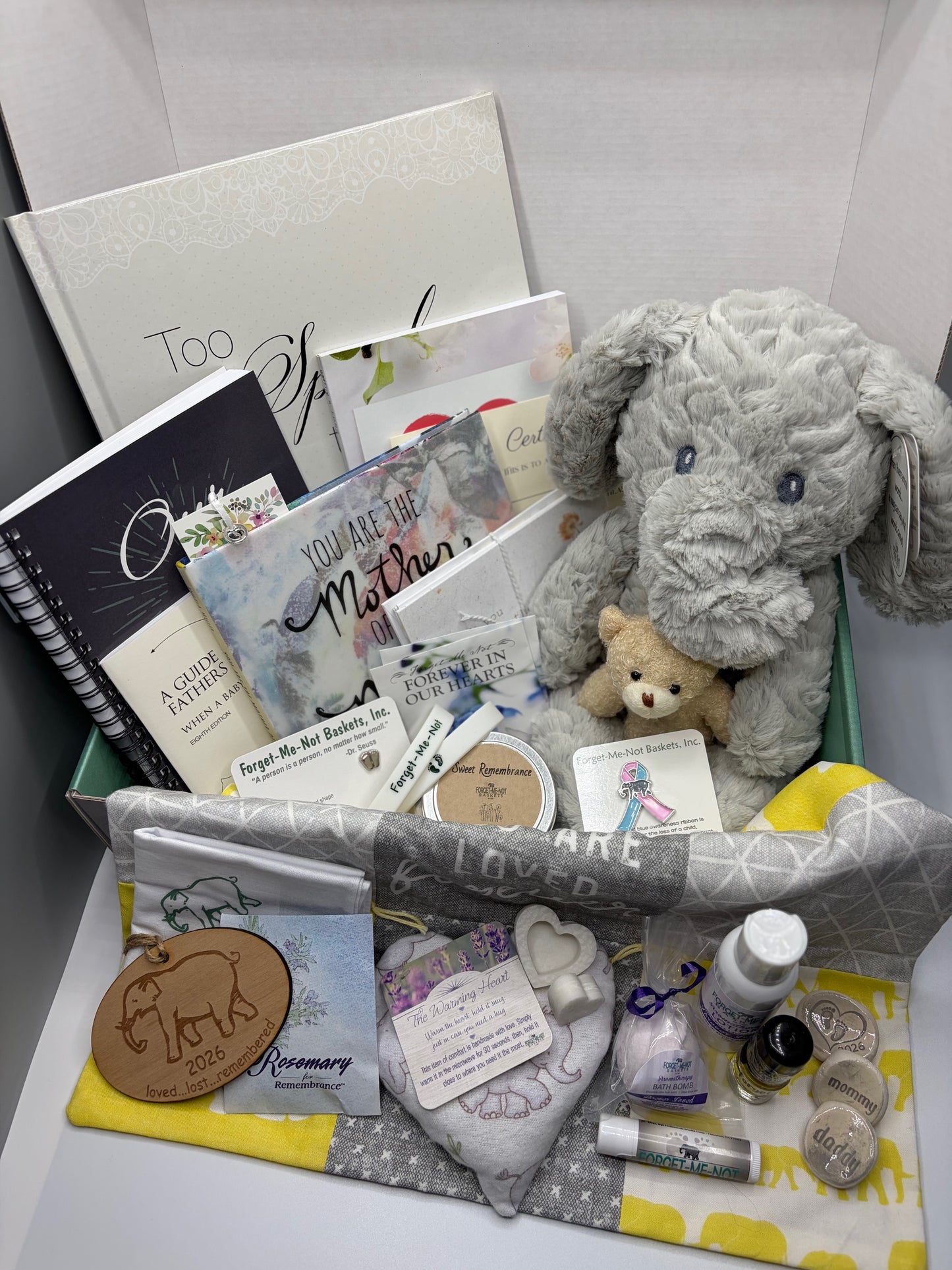 Sponsor a Large Forget-Me-Not Basket